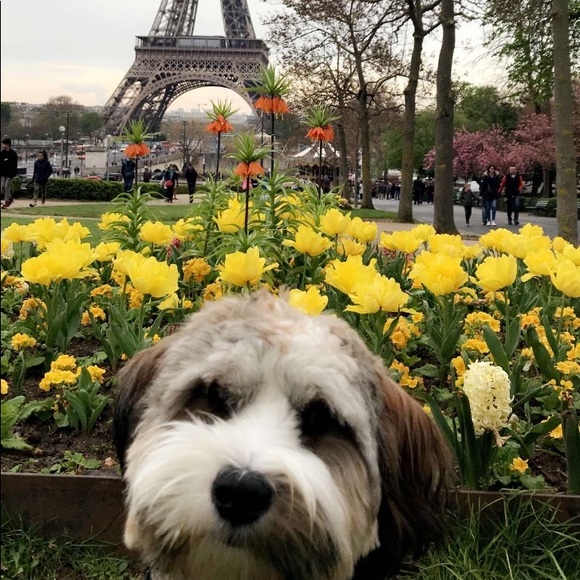 Meet your Posher, Lilian - Picture 2 of 5